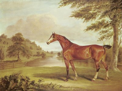 Caballo cazador en un paisaje boscoso con río de Sawrey Gilpin